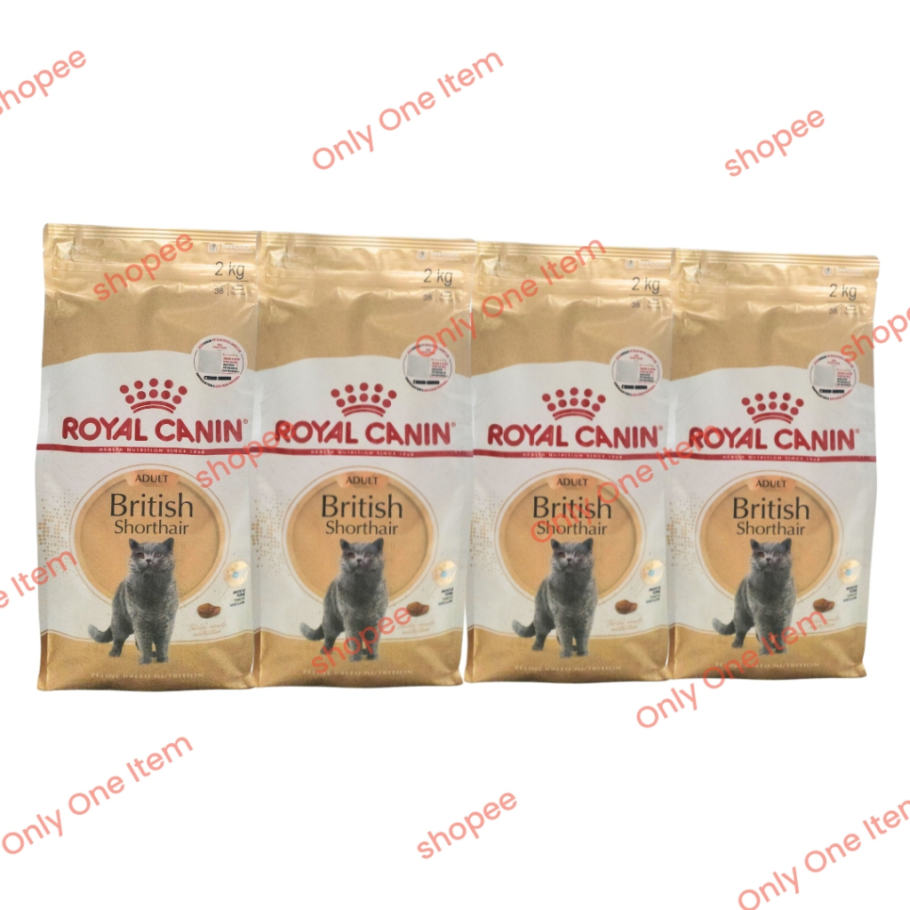 Katzenfutter British Shorthair Royal Canin British Shorthair Katzenfutter  Trocken Fr Britisch Kurzhaar 2 Kg Kaufen Bei Royal Canin British Shorthair  Kaufen