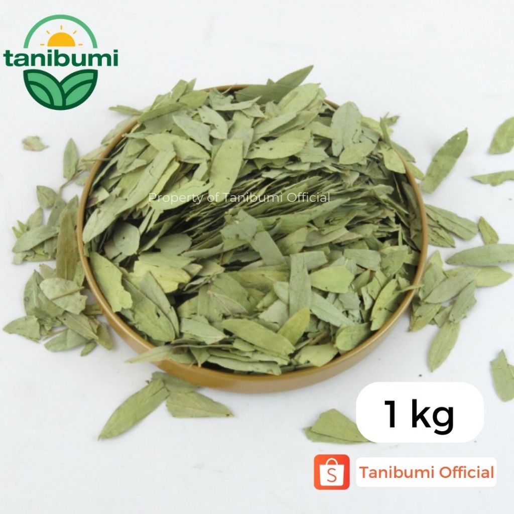 1Kg | Termurah Daun Jati Cina Kualitas Premium | Teh Pelangsing