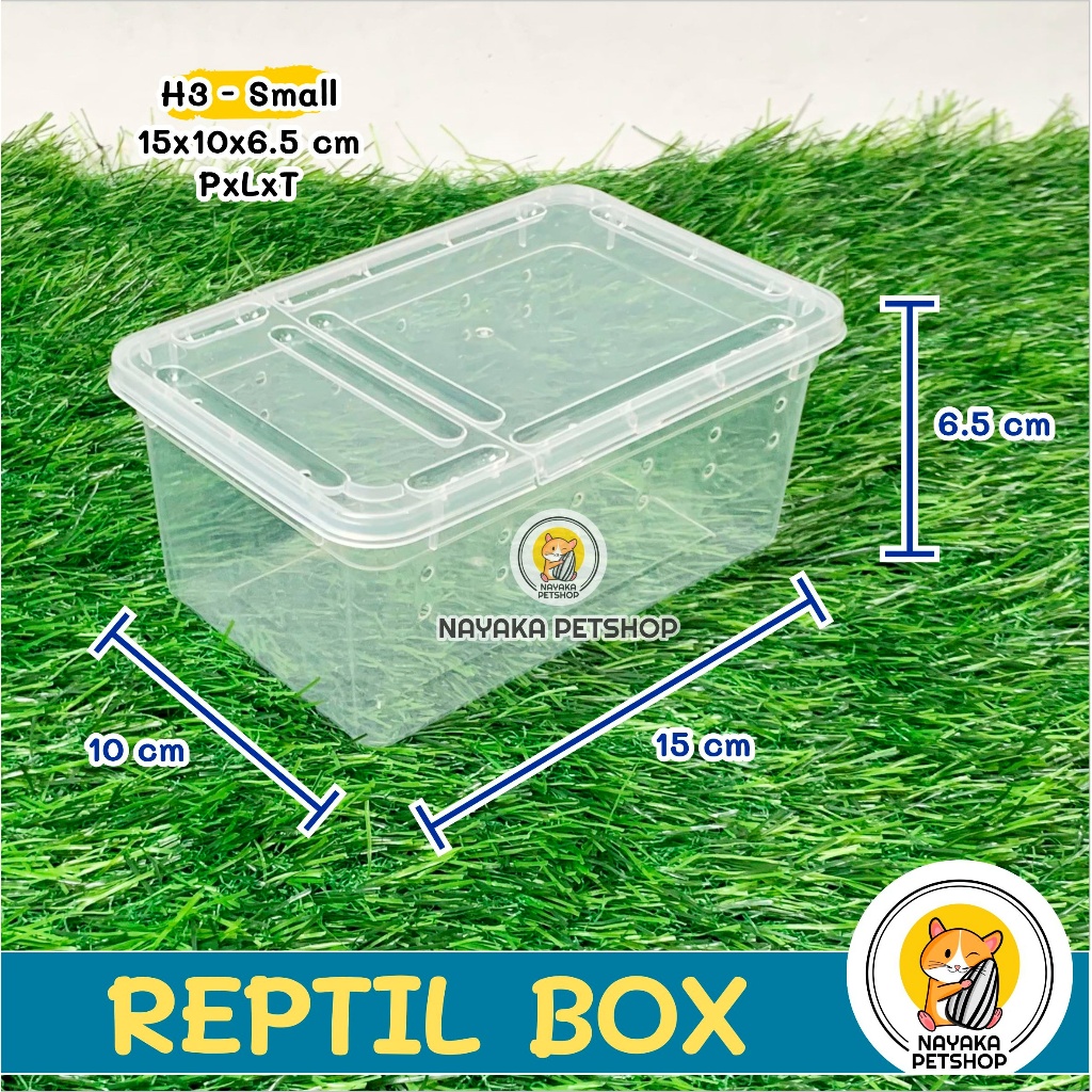 Jual Reptil Box H3 Small Kandang Kura Kura Brazil Sarang Hewan Wadah ...
