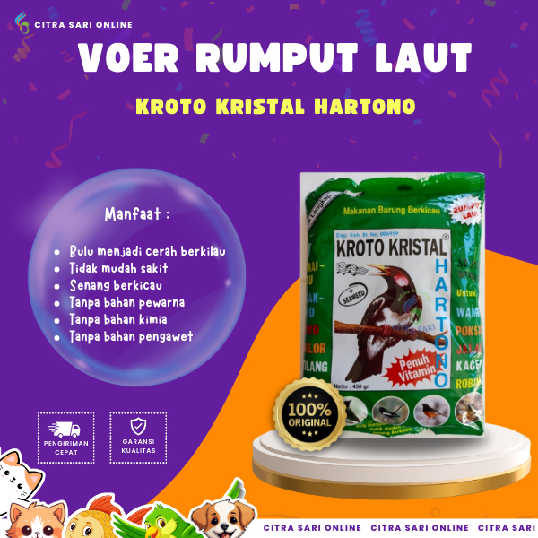 Jual Citra Sari Online | Voer Rumput Laut Kroto Kristal Hartono ...