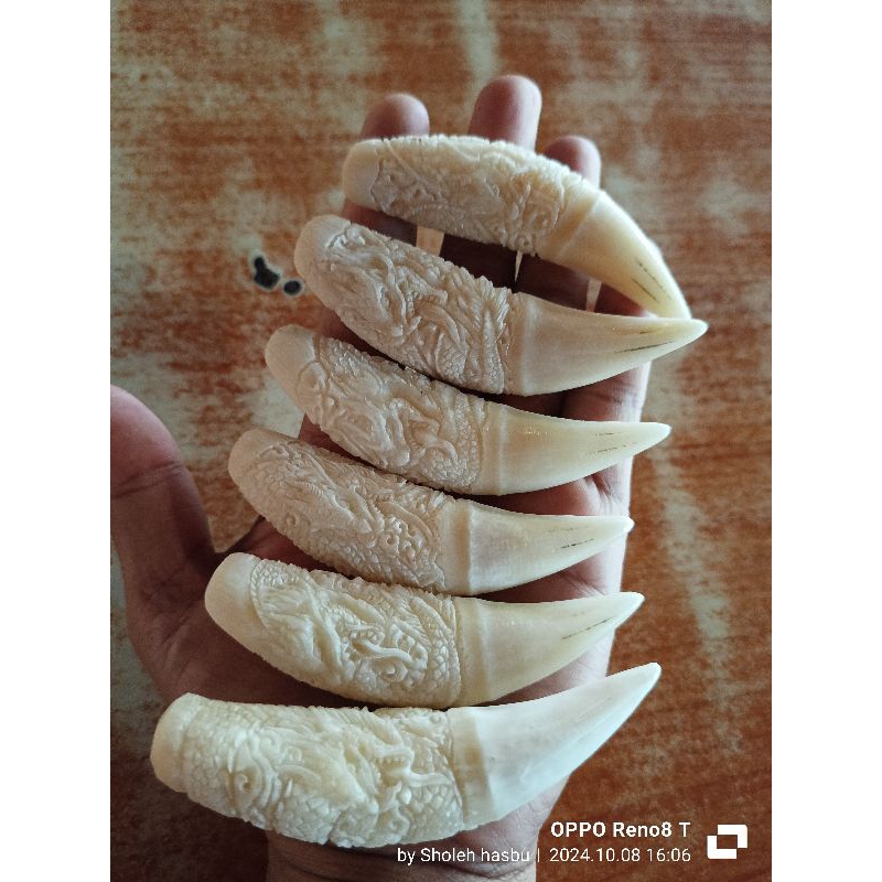 Jual taring ukir naga | Shopee Indonesia