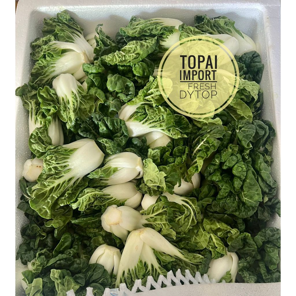 Jual Sayur Topai Topay Import Fresh Segar - 500 Gr | Shopee Indonesia
