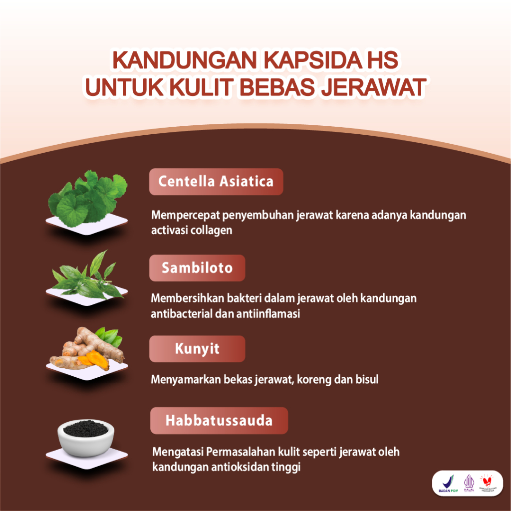 Jual Kapsida HS Botol Isi 60 Kapsul - Obat Jerawat Gatal-gatal Kulit ...