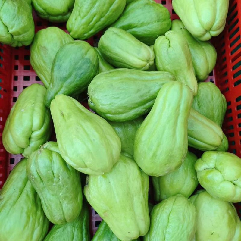 Jual labu Siam 1kg | Shopee Indonesia