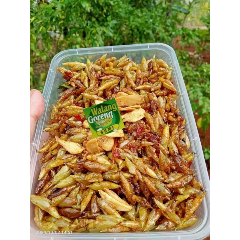 Jual Entong Johar/ungkrung besi entung gurih entung pedas gurih entung ...