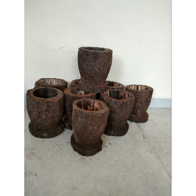 Jual Pot pakis media tanam anggrek ukuran L | Shopee Indonesia