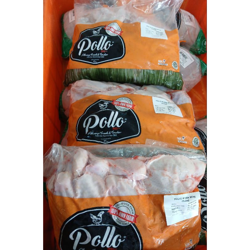 Jual Pollo Middle wing 2 kg - Sayap Ayam Tengah Curah 2 kg | Shopee ...