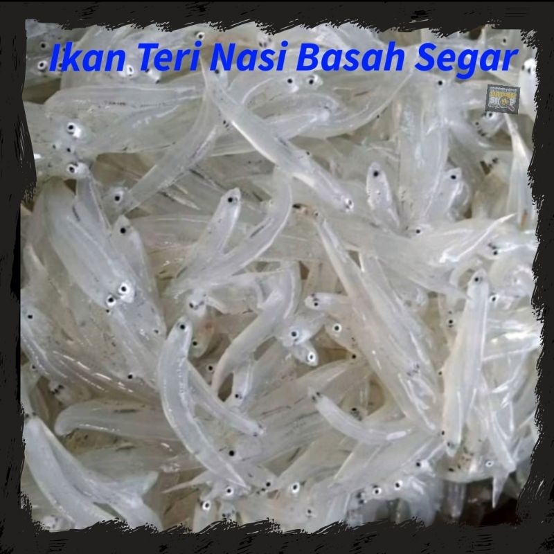 Korsatish katta klitori u cums sifatida