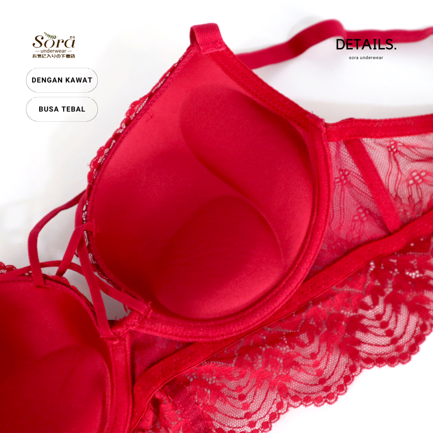 Jual Push Up Bra bh beha pakaian dalam wanita kawat busa tebal tali ...