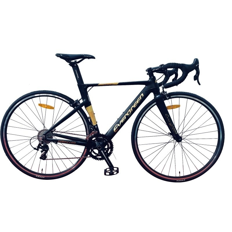 Jual Sepeda Balap Road Bike Evergreen Rapier 210RF 700C | Shopee Indonesia