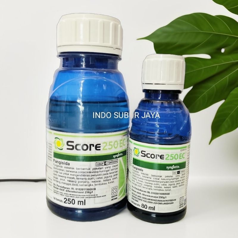 Jual Score 250 EC Fungisida Mengendalikan Penyakit Pada Tanaman Bawang ...