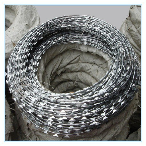 Jual Kawat Duri Silet / Razor Wire BTO 22 | Shopee Indonesia