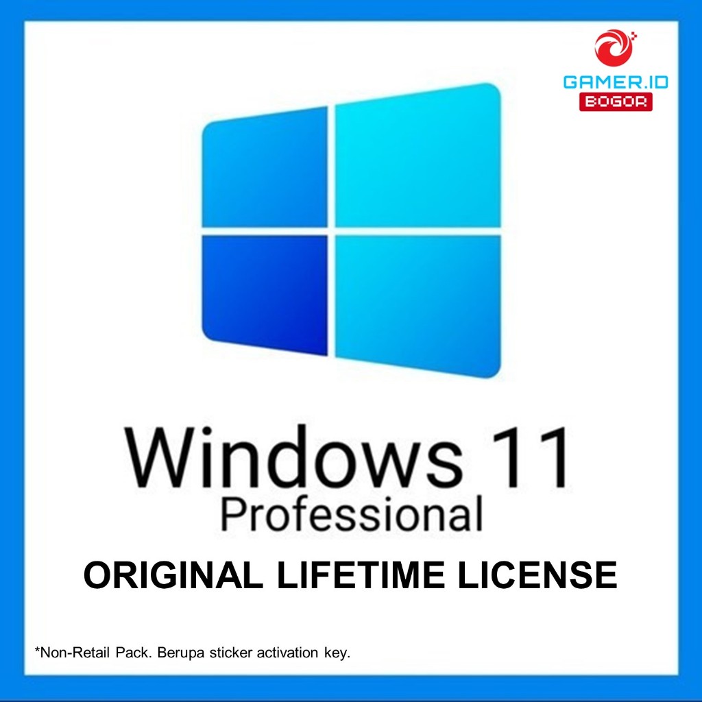 WINDOWS 11 HOME / PRO LICENSE