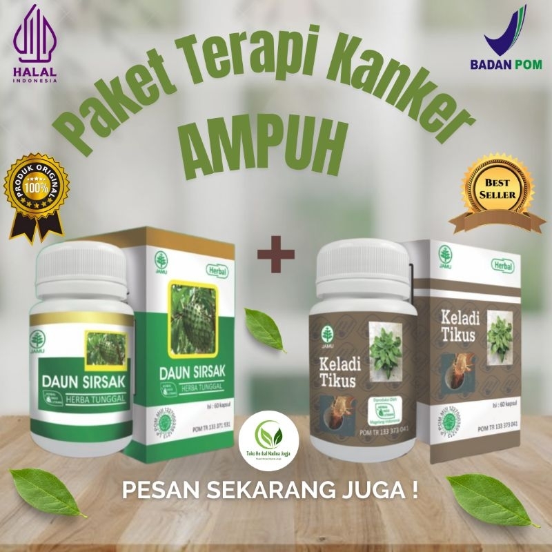 Obat Herbal Kanker Kista Mioma Tumor Benjolan Paket Terapi Maksimal Daun Sirsak Plus Keladi Tikus Original Asli