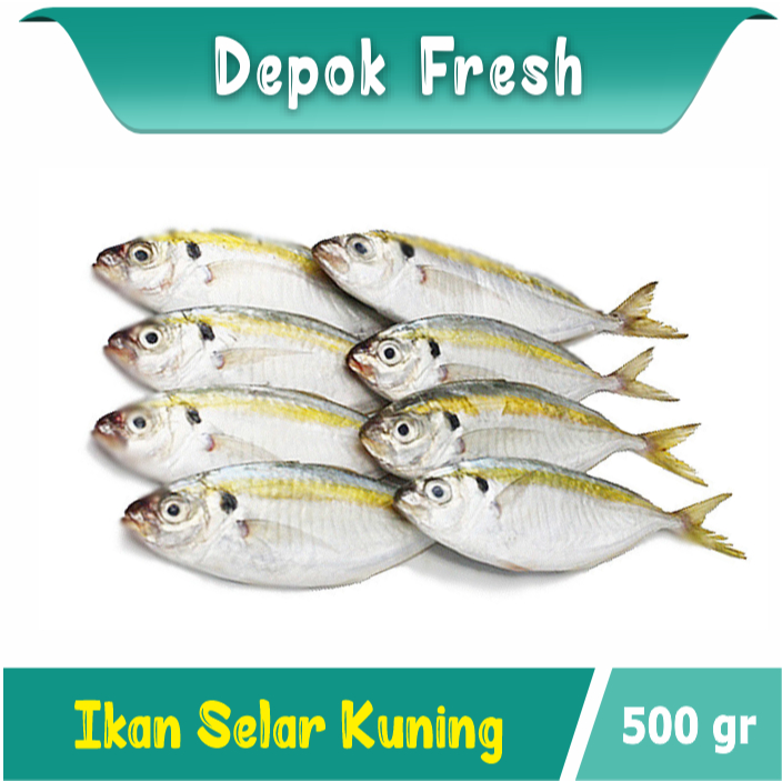 Jual IKAN SELAR IKAN LAUT BERKUALITAS 500 GRAM | Shopee Indonesia