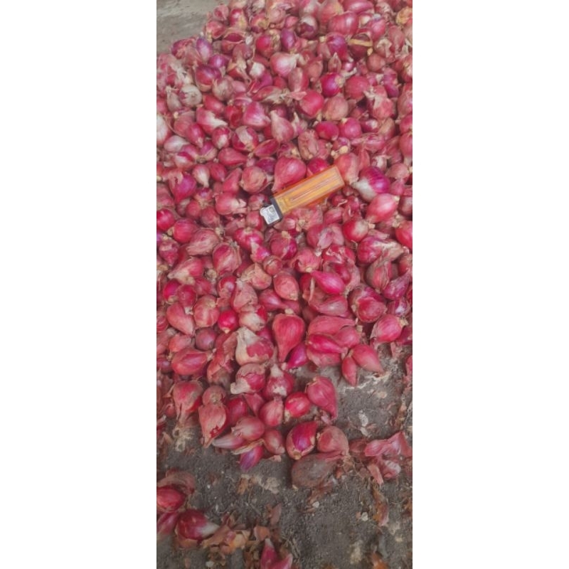 Jual bawang merah besar 1kg | Shopee Indonesia