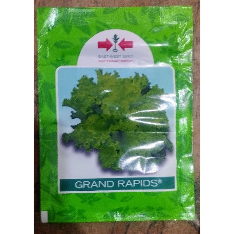 Jual Jual Benih Selada Unggul Grand Rapids Isi Gram Ready Stok