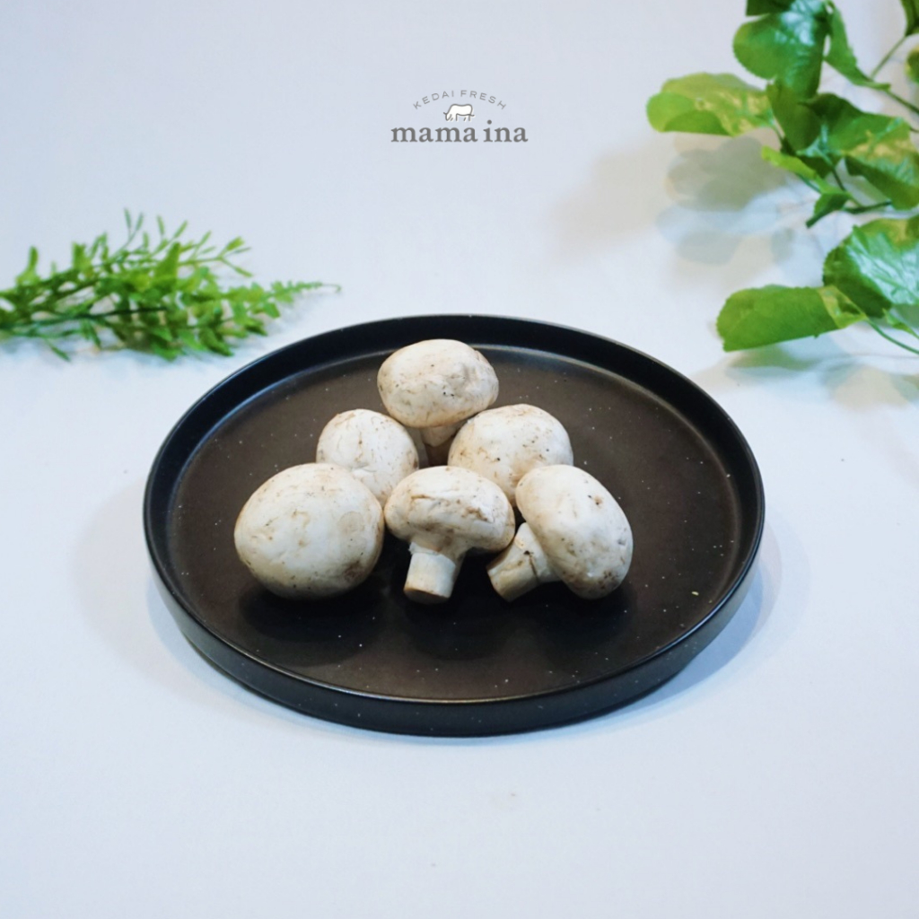 Jual Jamur Kancing 100g | Shopee Indonesia