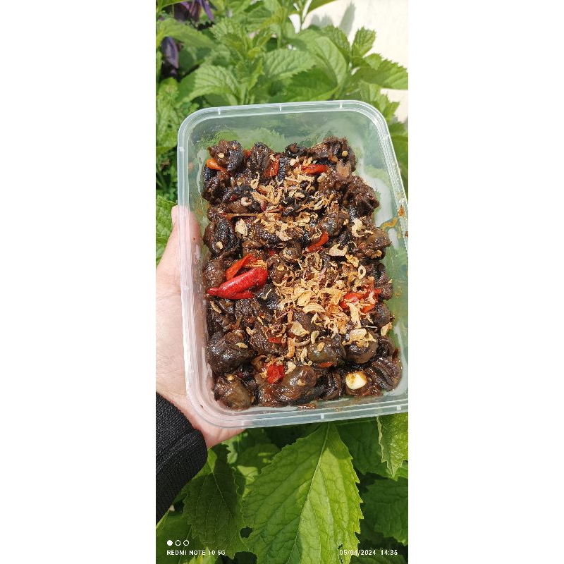 Jual Bekicot Goreng/ Rica Rica Bekicot/Krengsengan Bekicot | Shopee ...