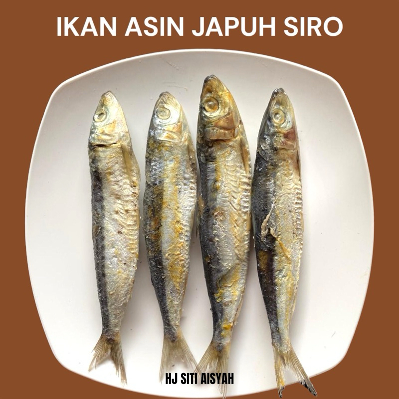 Jual ikan asin JAPUH SIRO fresh; 250 gram best seler | Shopee Indonesia