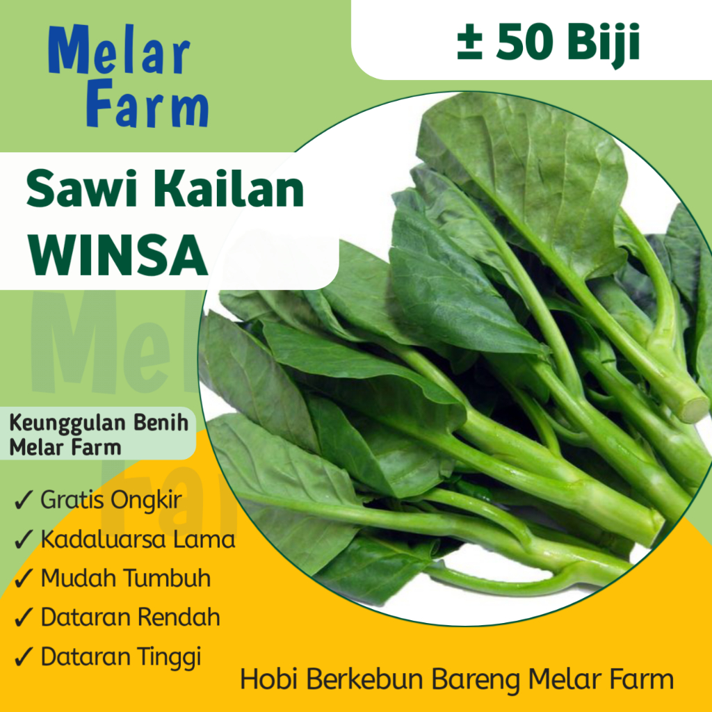 Jual Melar Farm 50 Biji - Benih Baby Kailan WINSA | Shopee Indonesia