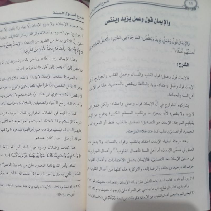 Jual شرح أصول السنة Syarah Ushulus Sunnah Lil imam Ahmad (Syaikh Robi ...