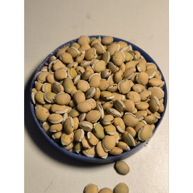 Jual KOMAK KERING 1 KILO (SUDAH DI PILAH YANG BAGUS) | Shopee Indonesia