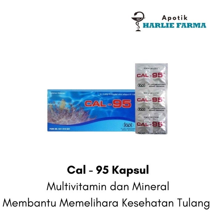 Jual Cal-95 Tablet Strip Box - Suplemen Kalsium Tulang | Shopee Indonesia