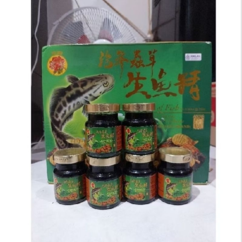 Jual Saripati ikan Haruan/ Gabus Fu Gui Essence Of Fish | Shopee Indonesia