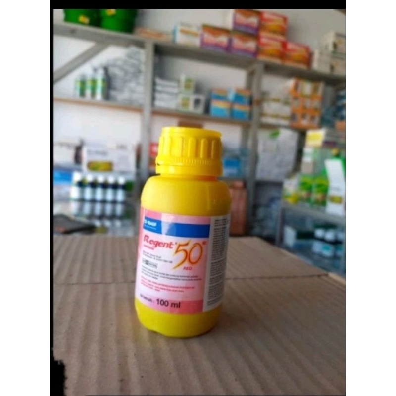 Jual regent red(merah) | Shopee Indonesia