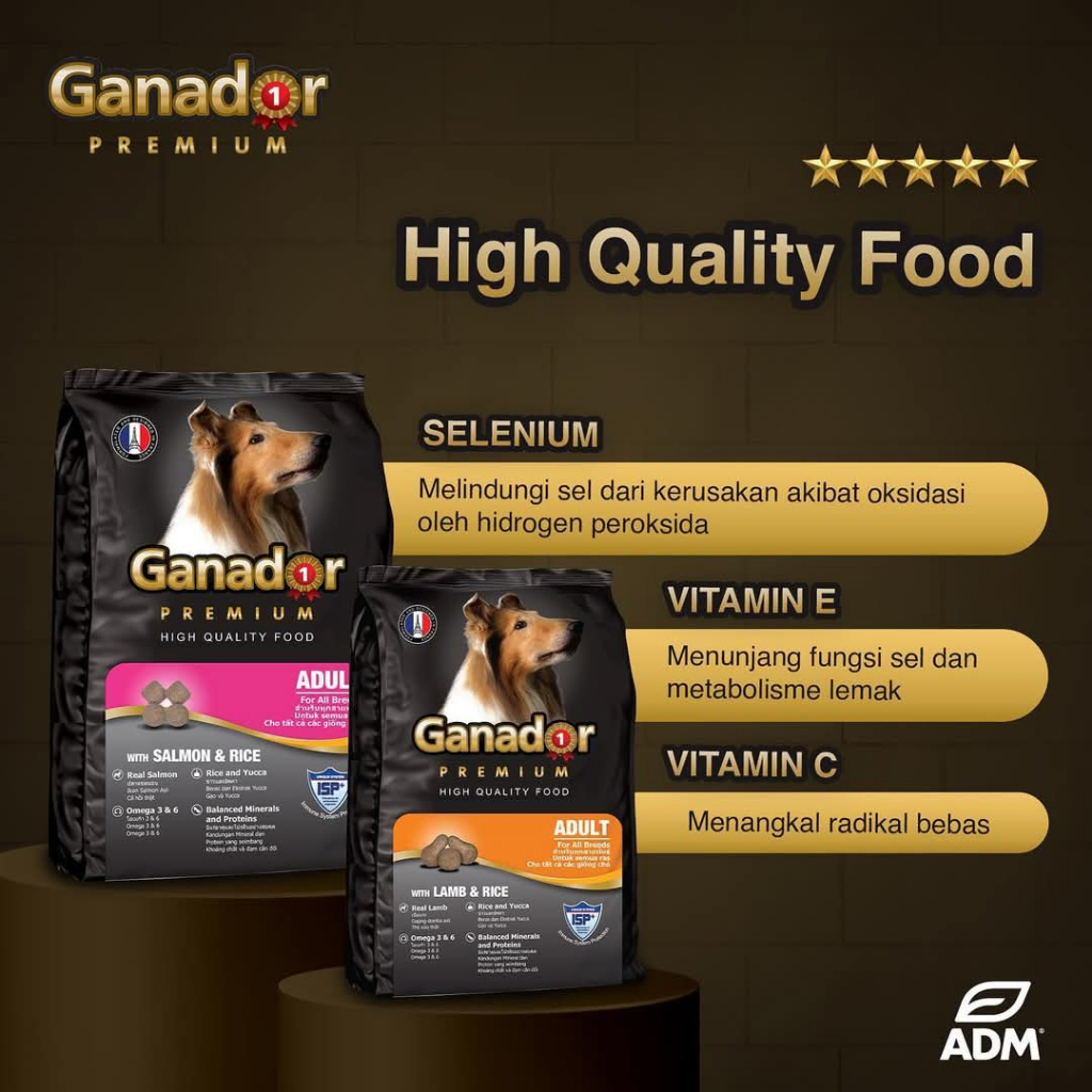 Jual Ganador Premium Adult Lamb & Rice Salmon & Rice 1.5 kg FREE ...
