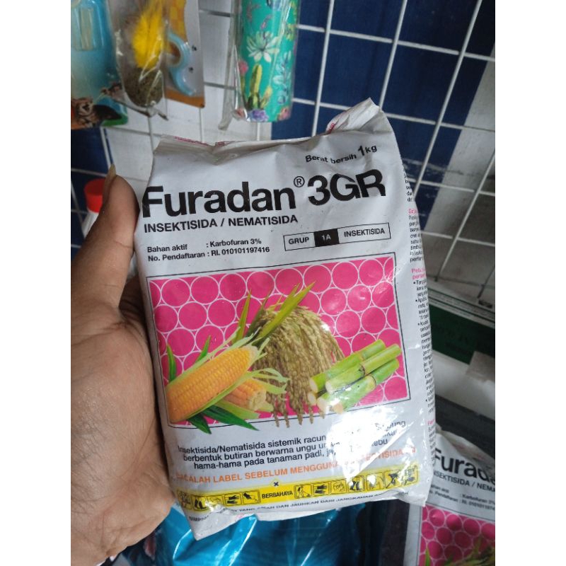 Jual insektisida furadan 3GR 1 kg | Shopee Indonesia