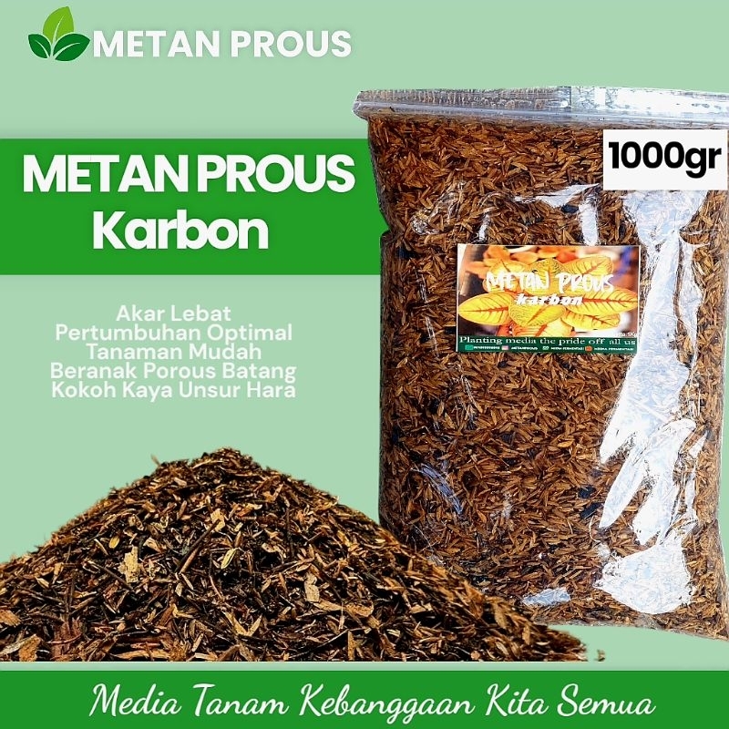Jual Media Tanam Aglaonema Metan Prous Karbon Mengandung Zat Karbon ...