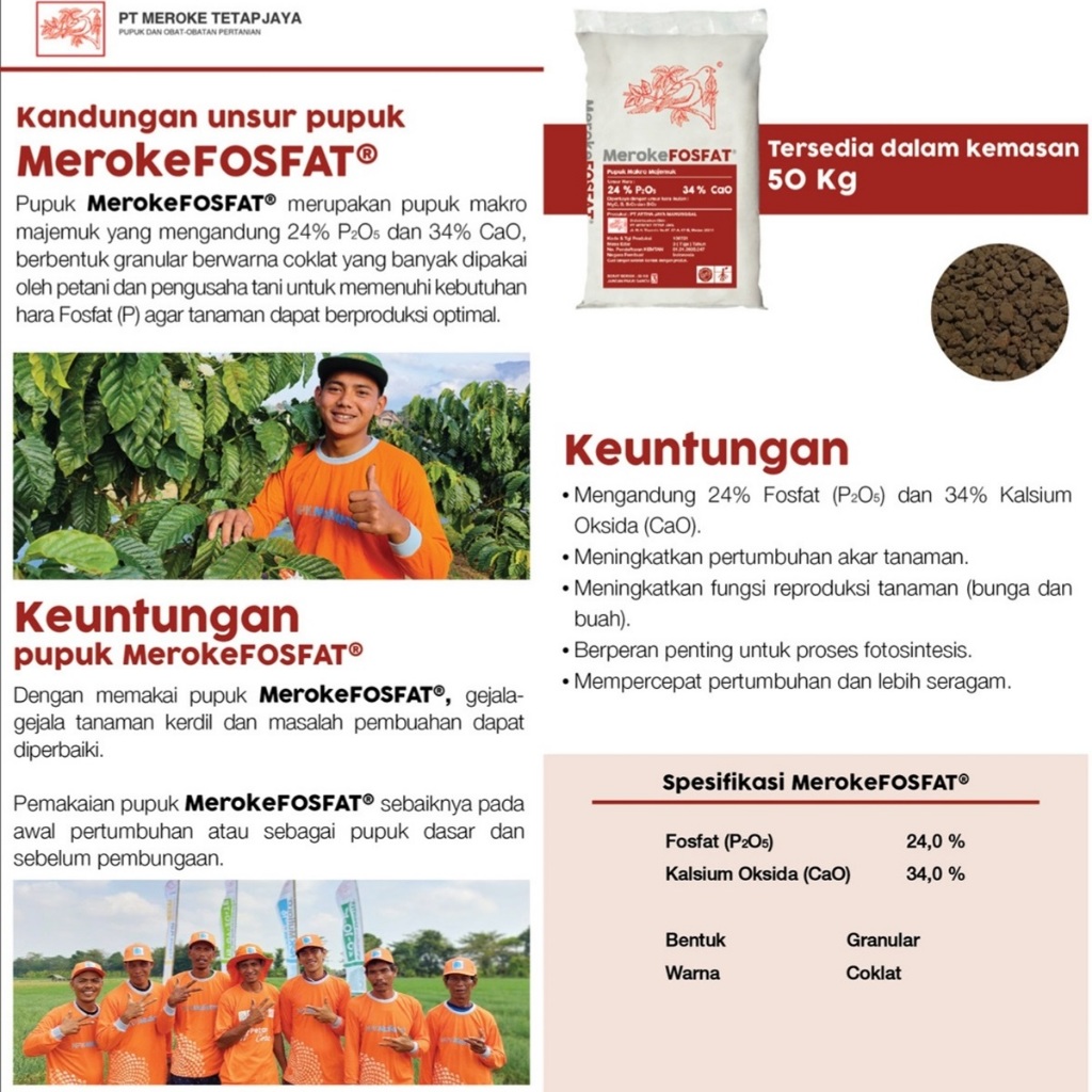Jual Meroke Fosfat 50 Kg via Kargo Kemasan Pabrik Pupuk TSP Pospat SP ...