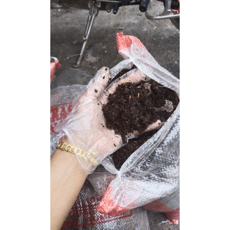 tanah permentasi ( sekam, kohe, tanah kompos siap pakai