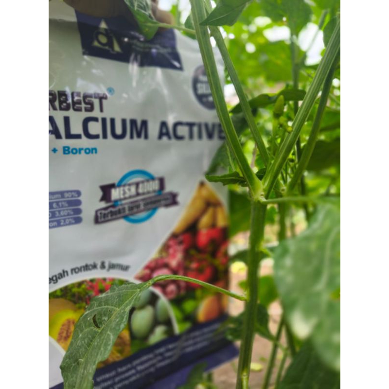 Jual Pupuk FORBEST CALCIUM ACTIVE 1kg Mencegah Kerontokan Daun Bunga ...