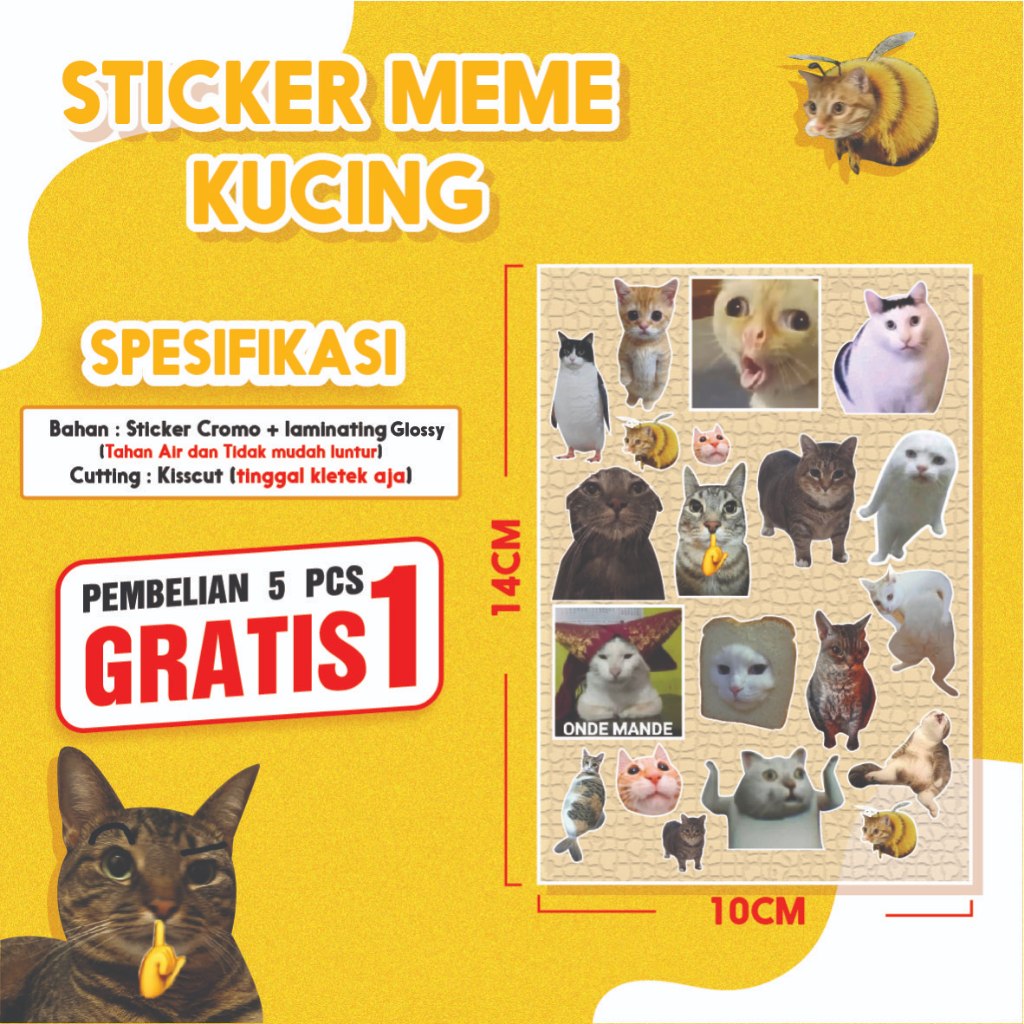 Jual STICKER MEME KUCING I UKURAN A6 I STICKER LUCU | Shopee Indonesia