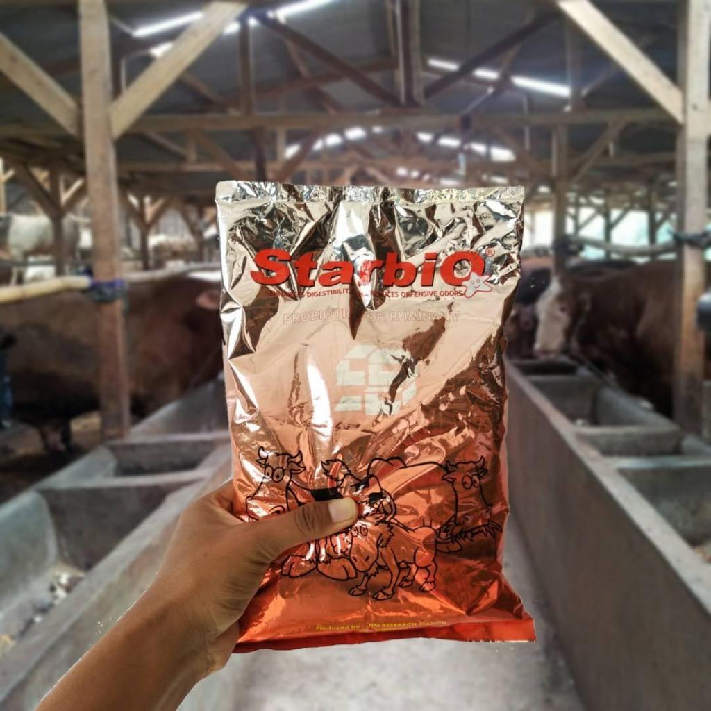 Jual STRABIO RUMINANSIA PROBIOTIK SAPI KAMBIN DOMBA BISA UNTUK ...