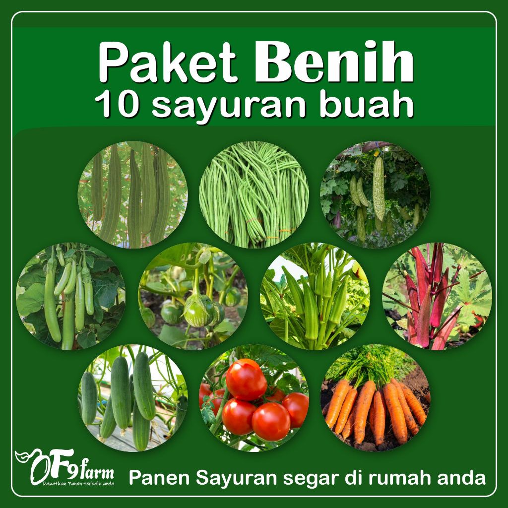 Paket Benih Bibit Sayuran Buah 10 Jenis Gambas Oyong Terong Tomat Timun Paria dll untuk Berkebun
