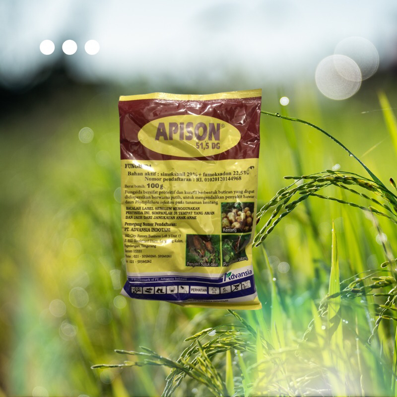 Jual Apison 100 gr | Shopee Indonesia