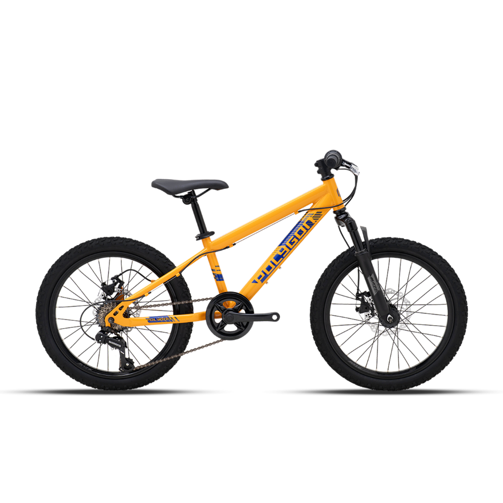 Jual SEPEDA POLYGON MTB 20 MAZE Shopee Indonesia