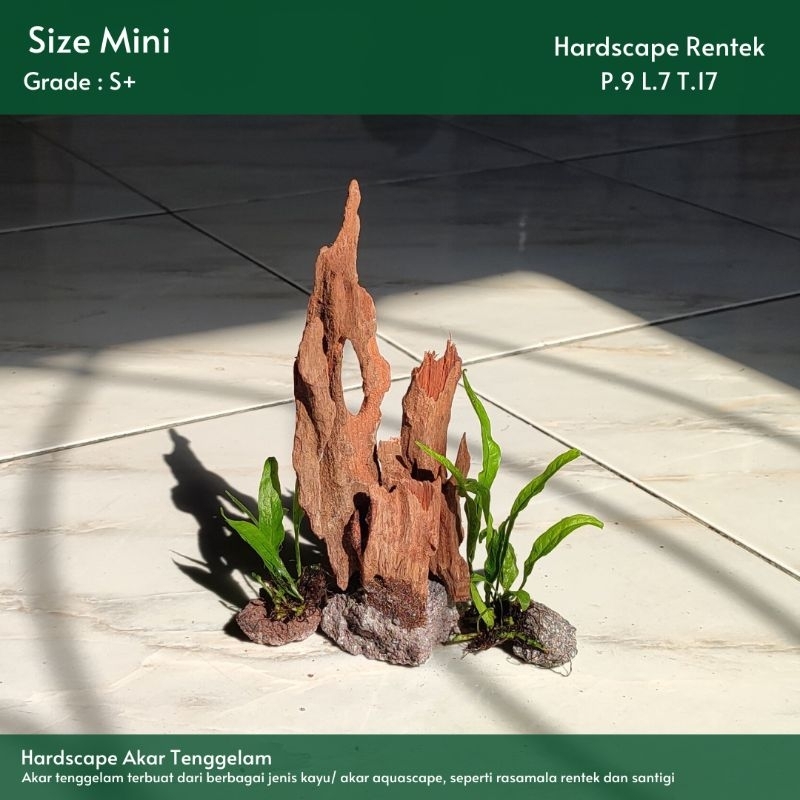 Jual HARDSCAPE AKAR RENTEK TENGGELAM MINI |FREE PACKING |Soliter ...
