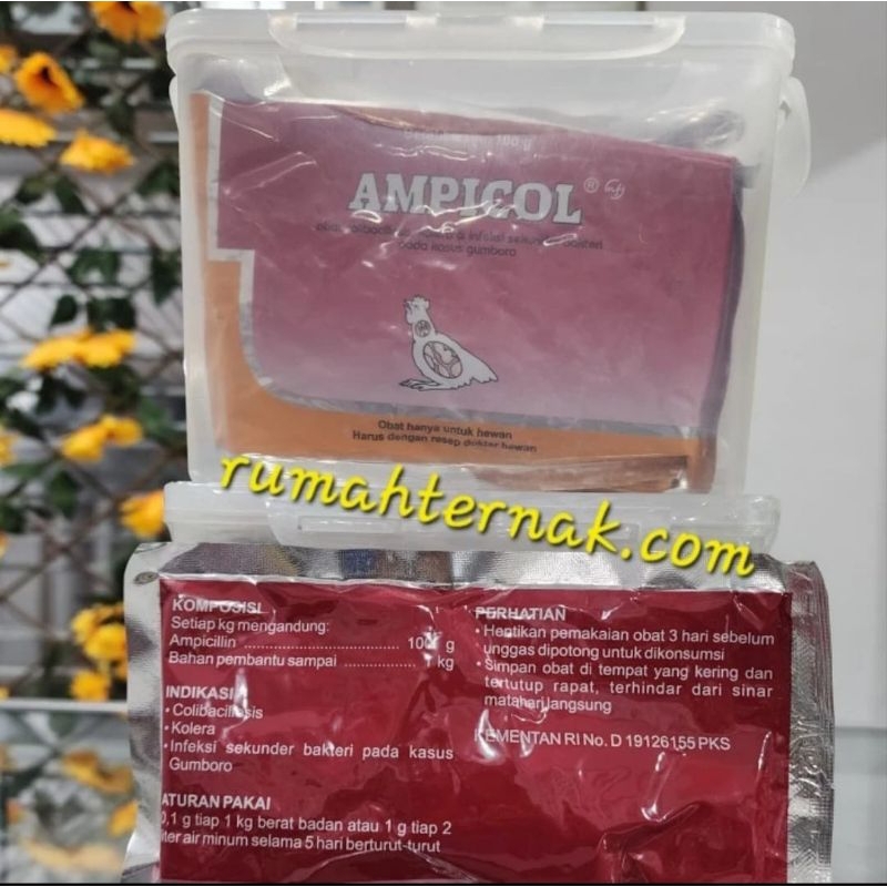 Jual Antibiotik Ternak AMPICOL 1kg (10 x 10g) | Shopee Indonesia