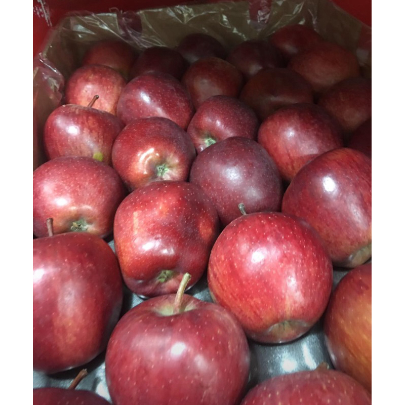 Jual REDDEL apel merah 1kg | Shopee Indonesia