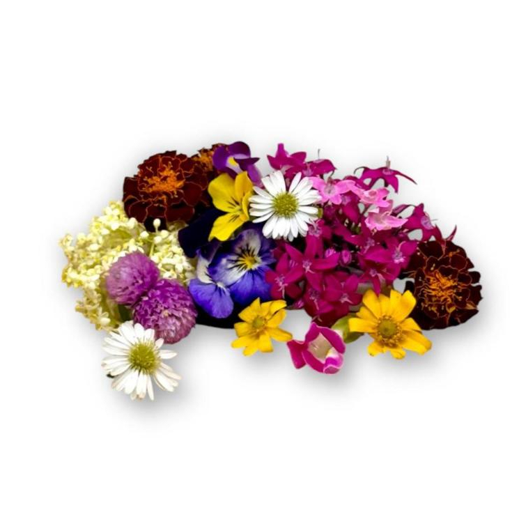 Jual EDIBLE FLOWER MIX 40 gr – Fresh Edible Flower – Bunga dapat ...