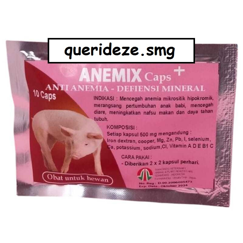 Jual ANEMIX 10 KAPSUL - OBAT VITAMIN MENCEGAH ANEMIA BABI MEMBANTU ...