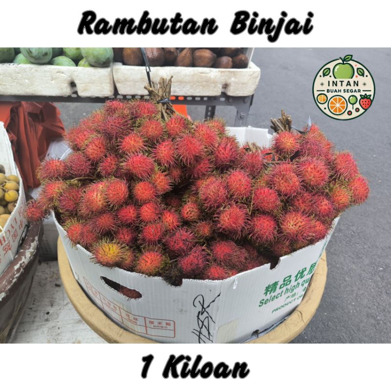Jual BUAH RAMBUTAN BINJAI 1KG FRESH MANIS ( buah rambutan nya ya kak ...