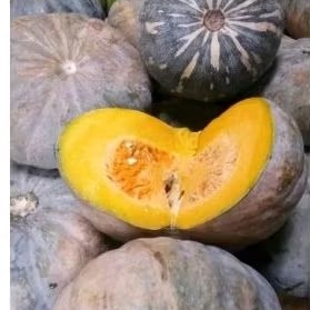 Jual Labu kuning 1000 gram | Shopee Indonesia