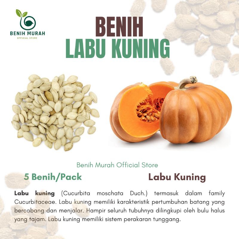 Jual LABU KUNING | Shopee Indonesia
