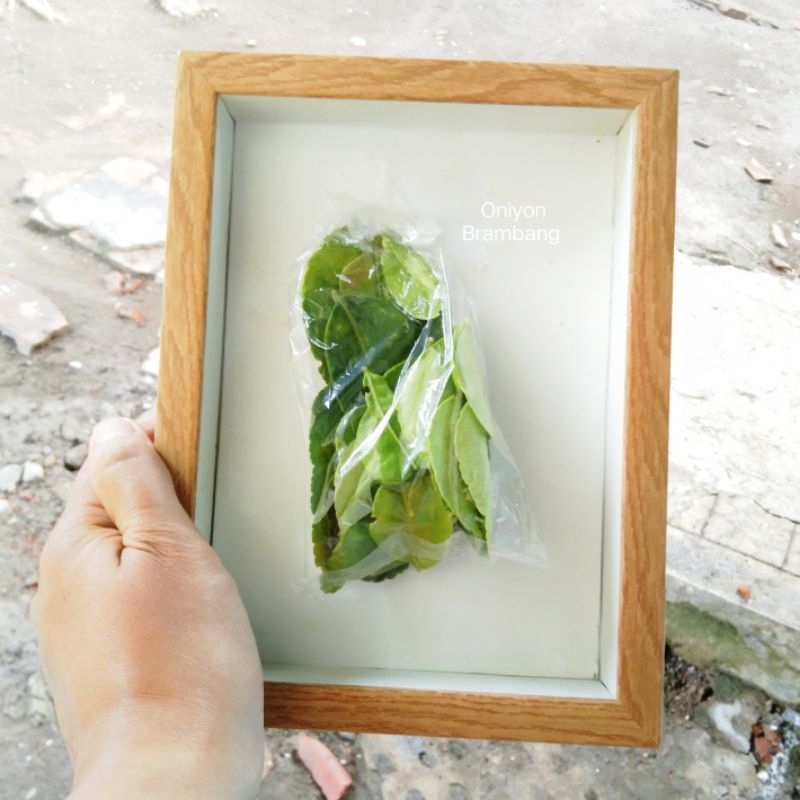 Jual Daun Jeruk 10 lembar Tiga Ribu | Shopee Indonesia